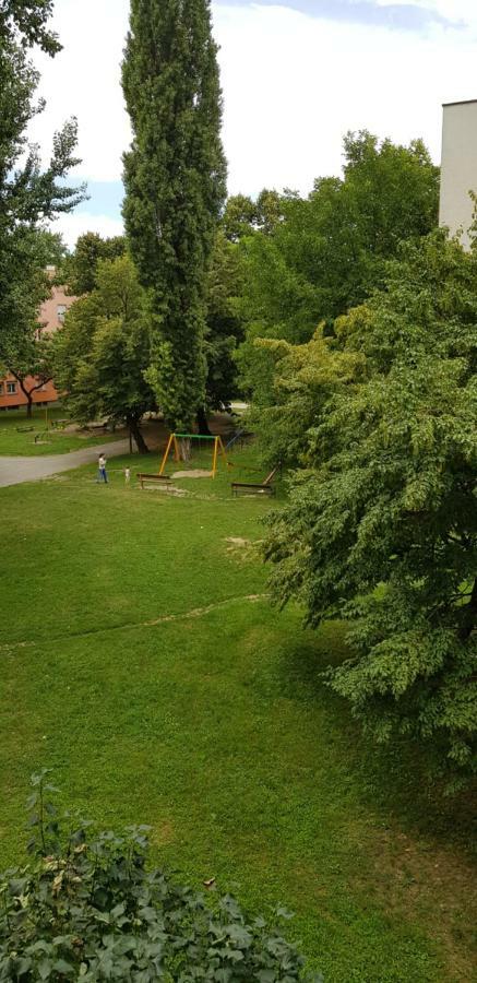 Orhideja Osijek Apartment Bagian luar foto