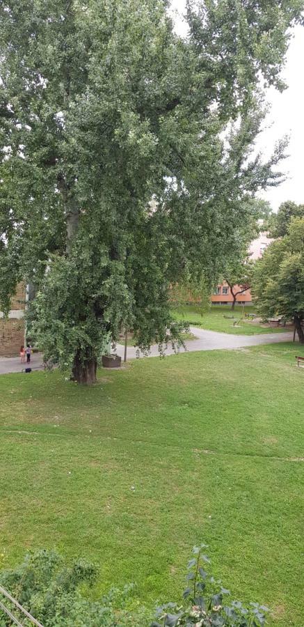 Orhideja Osijek Apartment Bagian luar foto