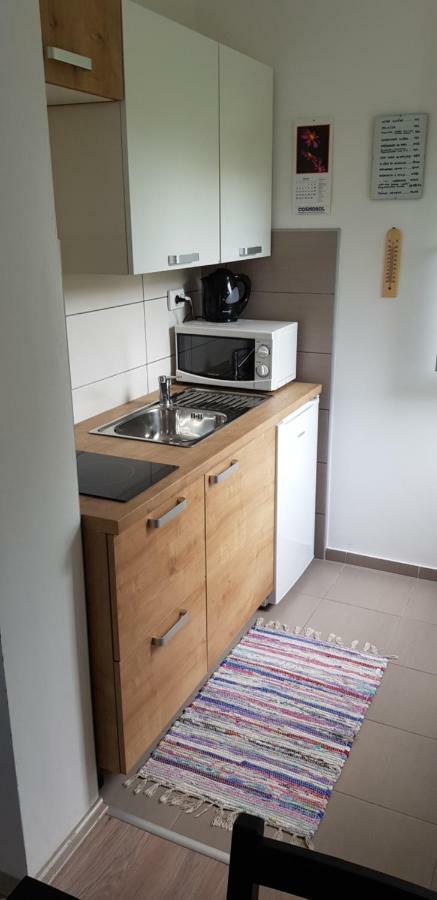 Orhideja Osijek Apartment Bagian luar foto